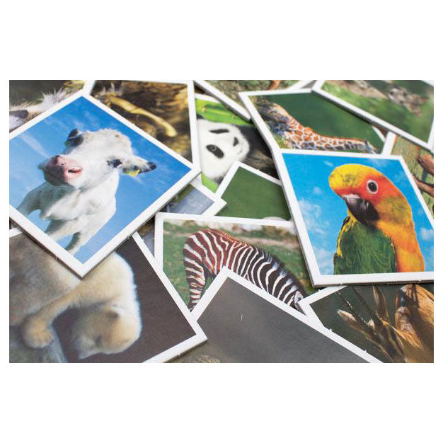 Selecta babydieren memo
