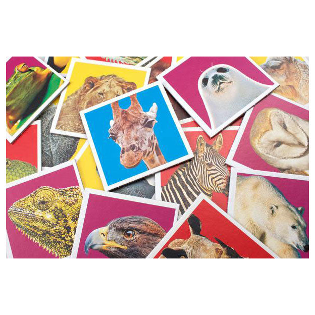 Memo over wilde dieren
