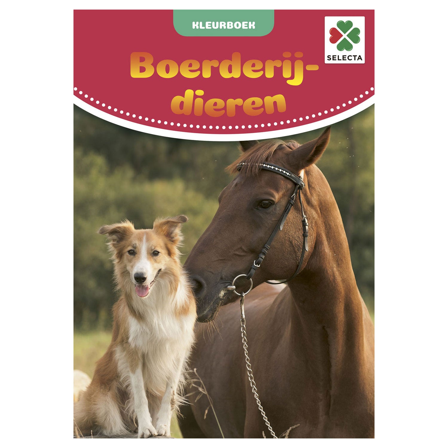 Selecta kleurboek boerderijdieren