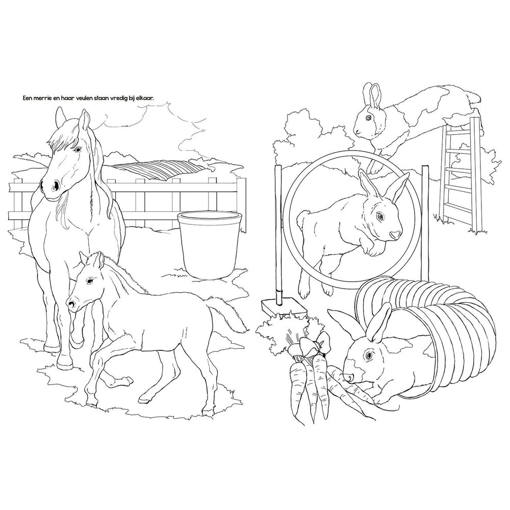 Selecta tactic boerderijdieren kleurboek - 48 pagina's - kleurboek voor kinderen - boerderij - vanaf 2 jaar