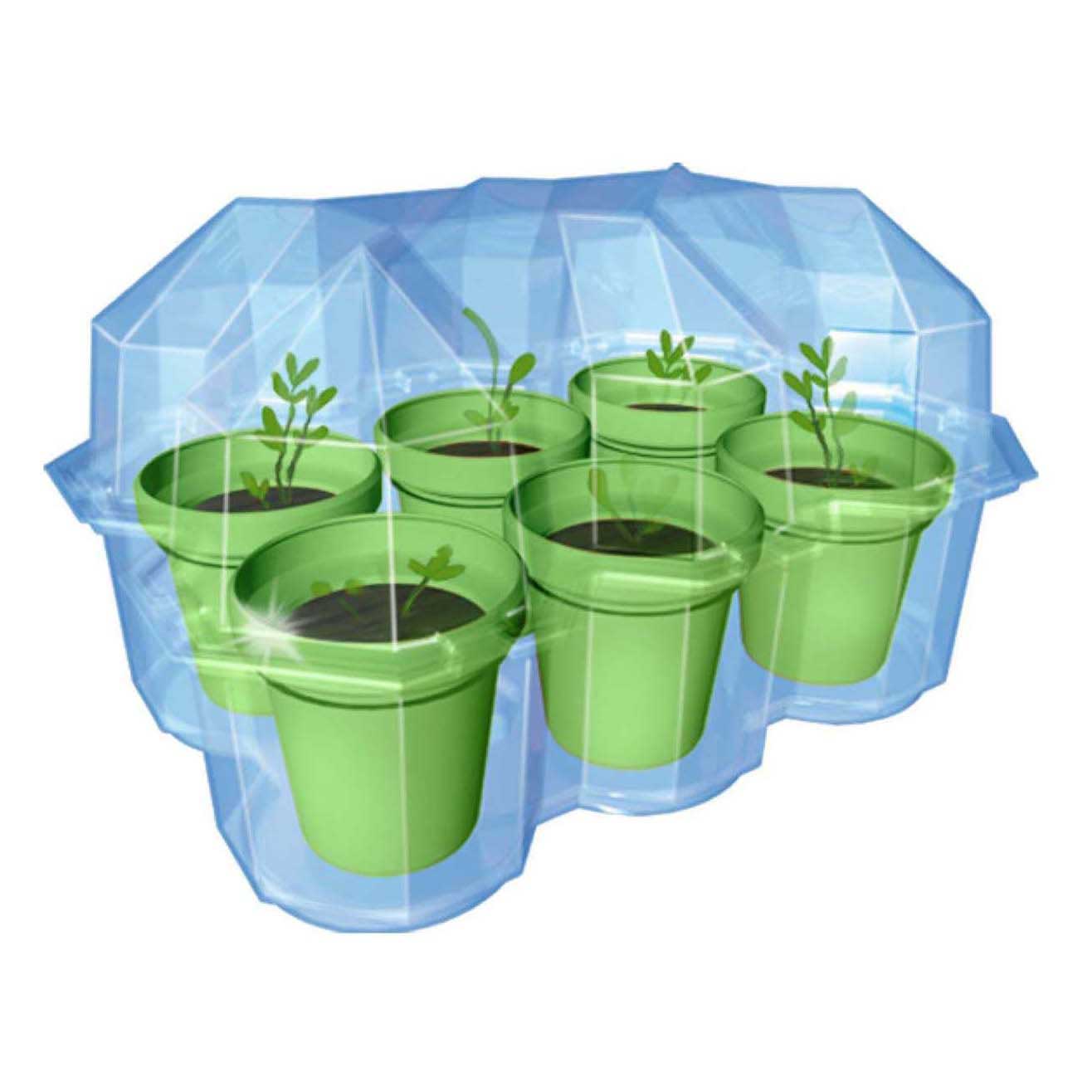 Kosmos mimosa garden – experimenteerset – kweek je eigen gevoelige plant – inclusief kweekpot, aarde en zaden – plant die reageert op aanraking
