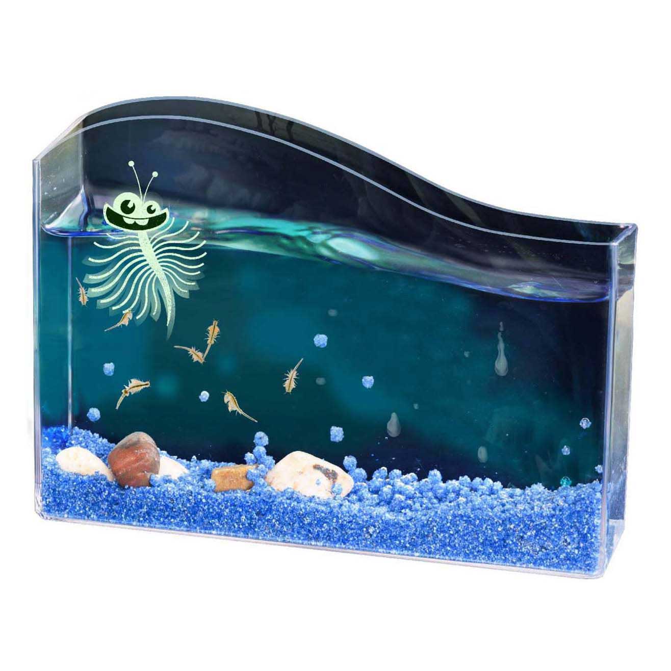 Kosmos saltwater creatures – experimenteerset – kweek je eigen mysterieuze zoutwaterdiertjes – inclusief aquarium, eitjes en voer – zoutwaterwezentjes kweken