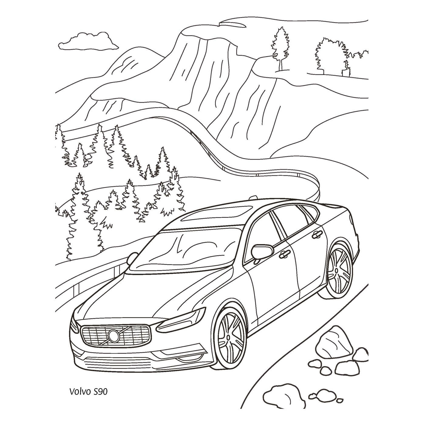 Super Auto Color Kleurblok