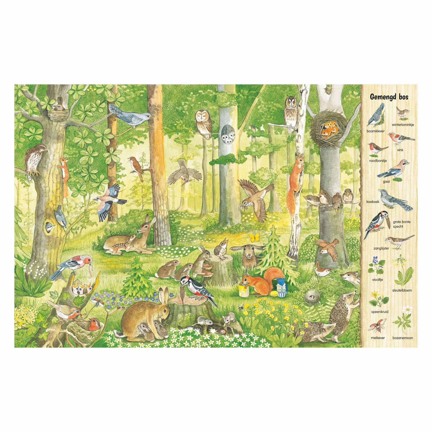 Deltas kijk- en zoekboek - in het bos
