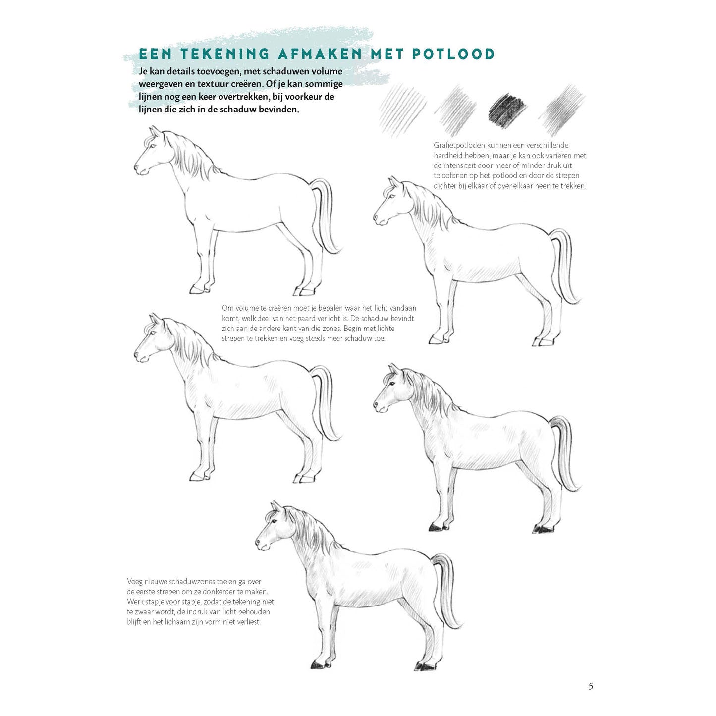 Deltas stap voor stap paarden leren tekenen