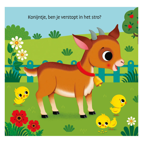 Deltas waar is het konijntje? flapjesboek