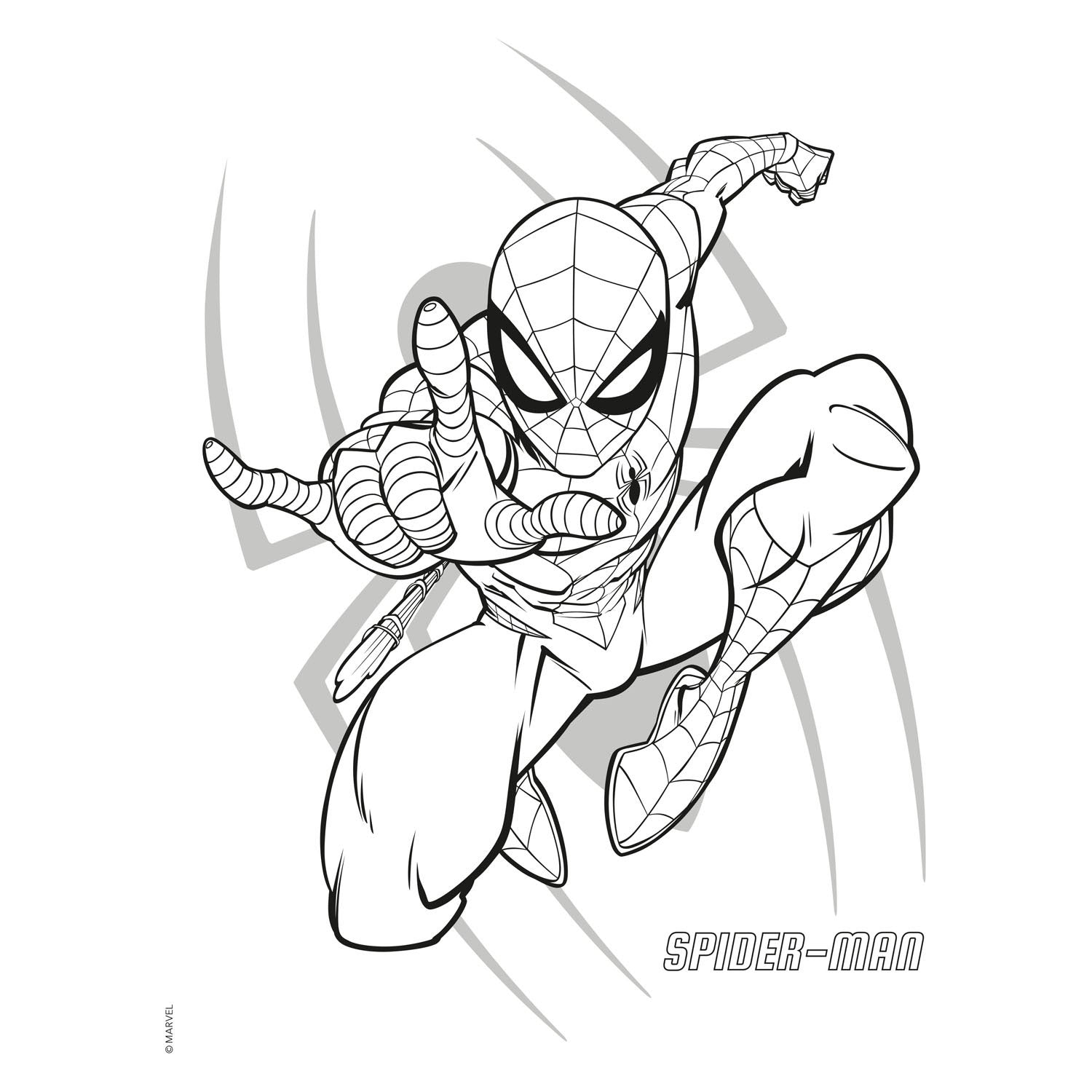 Deltas wonder spider-man kleur kleurblok
