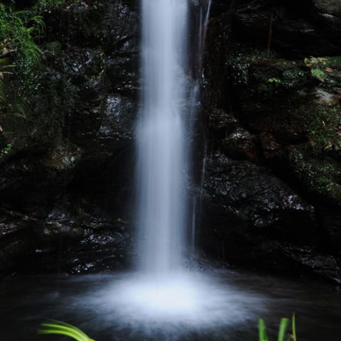 Filtre gris Marumi DHG ND8 67 mm