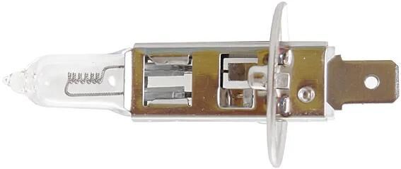 Corexx hoofdlamp car lamp h1 55w socket p14,5,s
