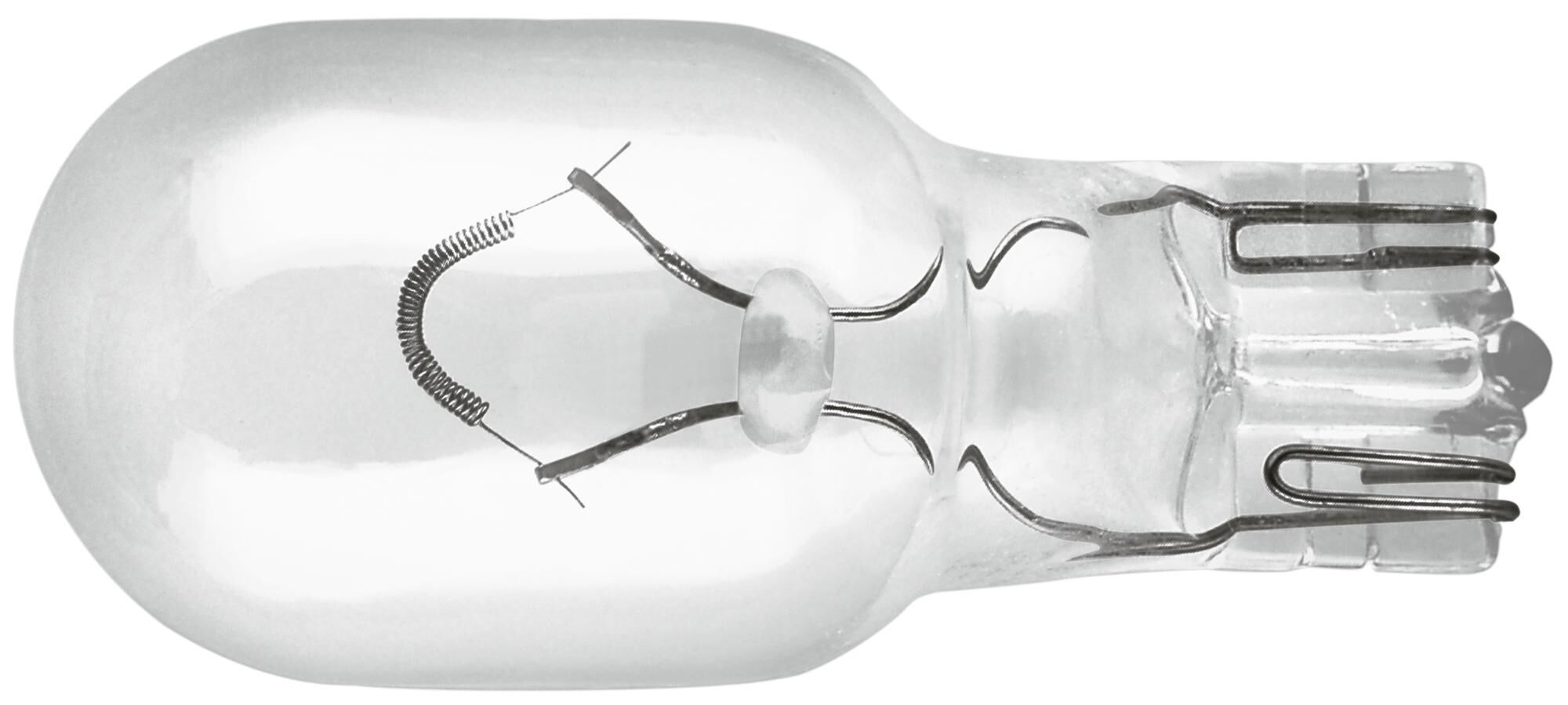 Osram glasfitting gloeilamp 12 v, 16 w ball lamps 12v 16w