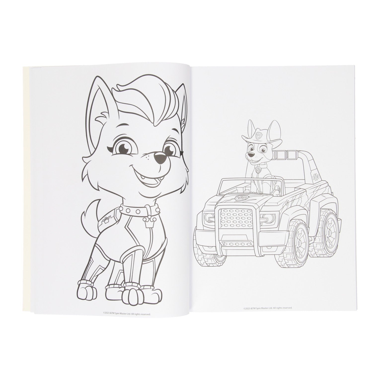 Wins Holland Paw Patrol kleurboek assorti