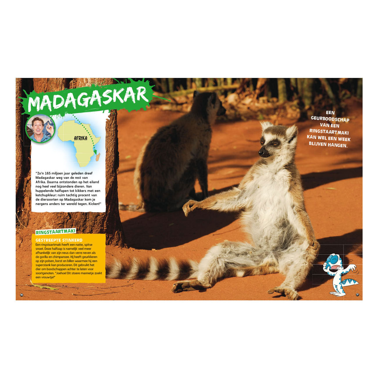 Boekspecials nederland bv wild van freek op reis door afrika boek