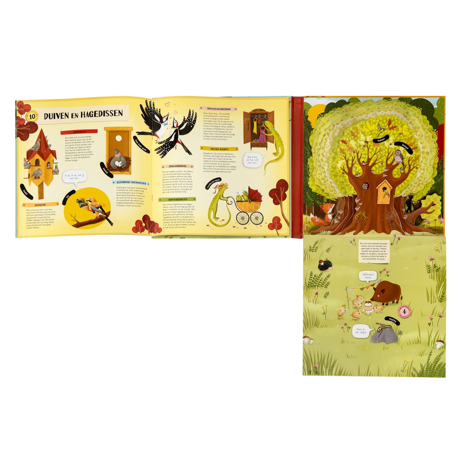 Boek specials nederland bv uitklap- en flapjesboek binnen in de boom