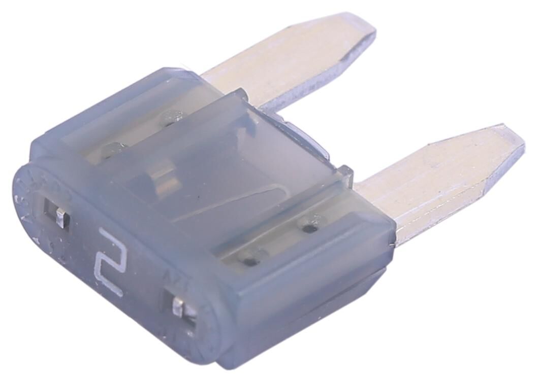 Corexx zekering bananenstekker mini mini protection 2a inh.50