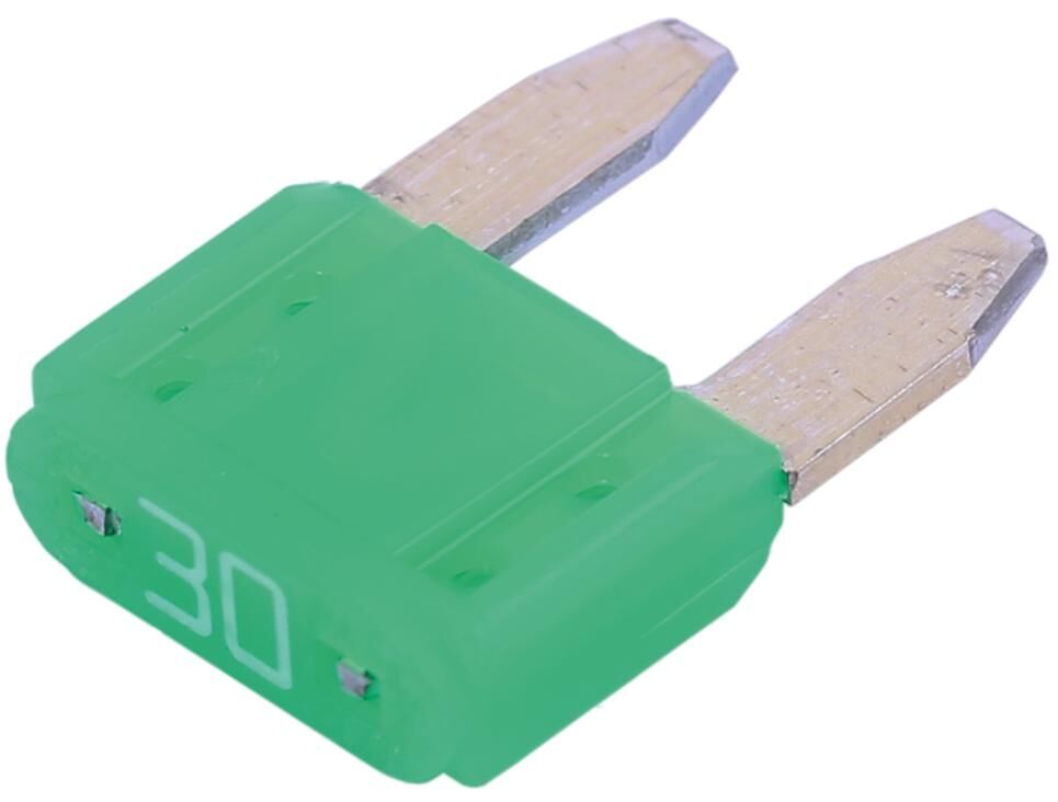 Corexx zekering bananenstekker mini mini protection 30 inh.50