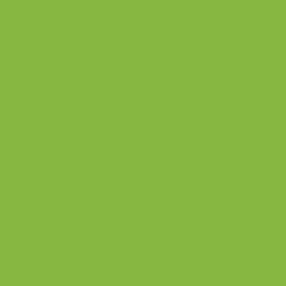 Ranger ink ranger • dylusions ink spray dirty martini 59ml
