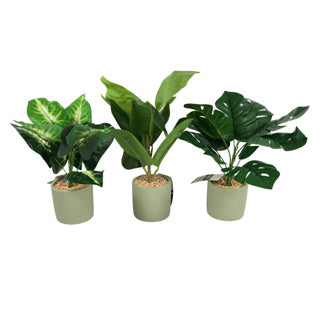 Kunstplant in cementen pot 40 cm 3 assorti