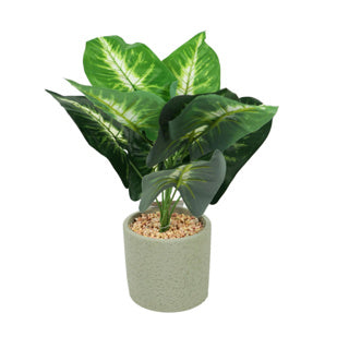 Kunstplant in cementen pot 40 cm 3 assorti