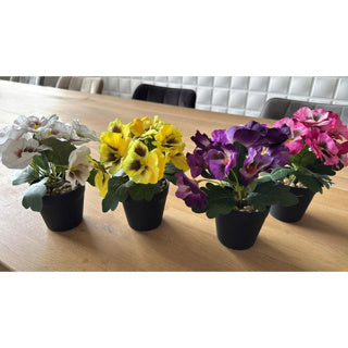 Kunstplant in pot viool 21 cm 4 assorti | 12 stuks