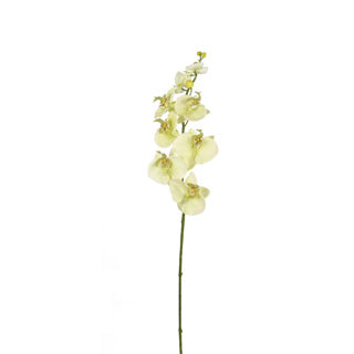 Kunstbloem orchidee crème 85 cm