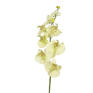 Kunstbloem orchidee crème 85 cm