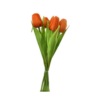 Tulpboeket 7 tulpen 35 cm assorti