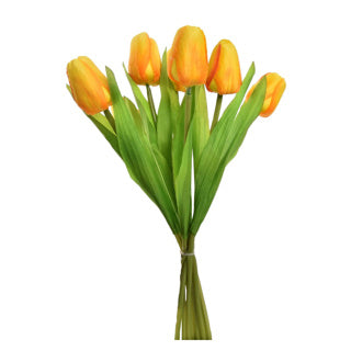 Tulpboeket 7 tulpen 35 cm assorti