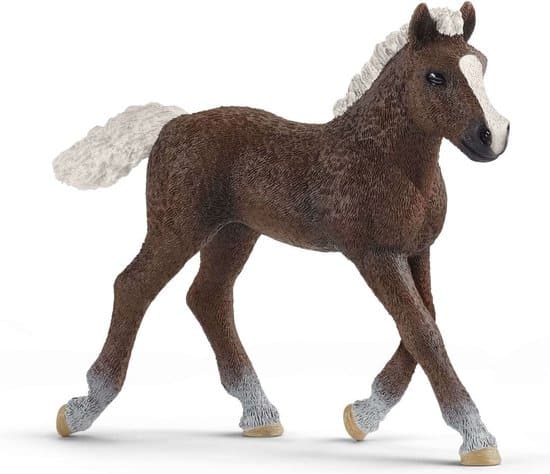 Schleich paardenclub schwarzwalder veulen 17077