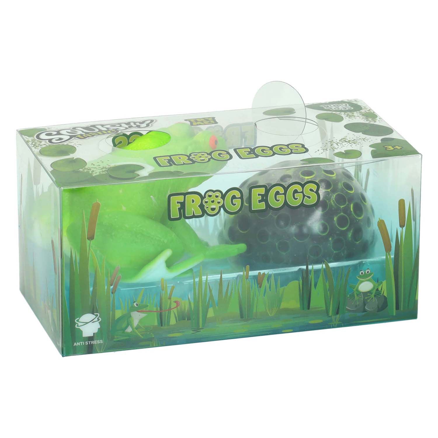 Kikker met kikkerdril