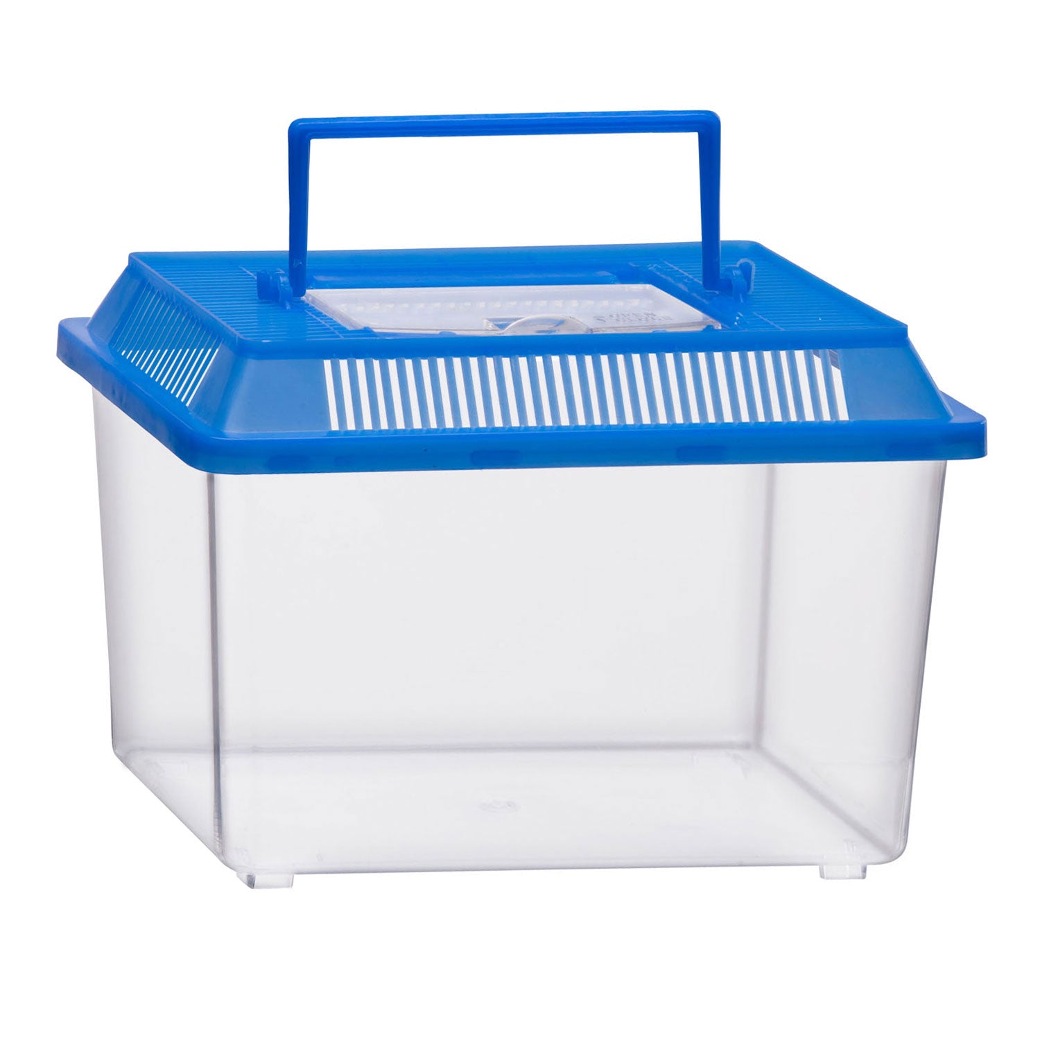 Insectenbox met deksel