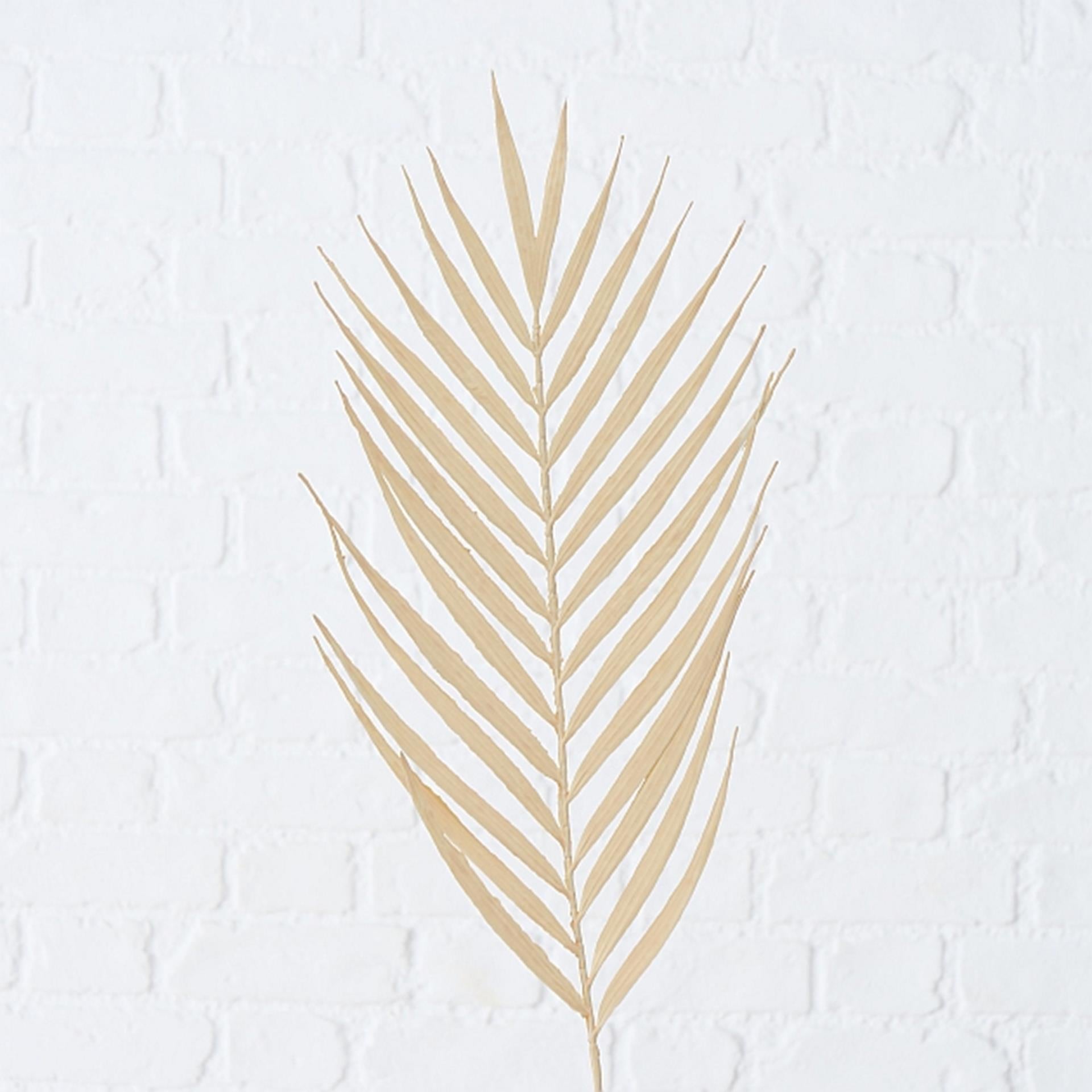Boltze home kunsttak decotak 90cm palmblad naturel