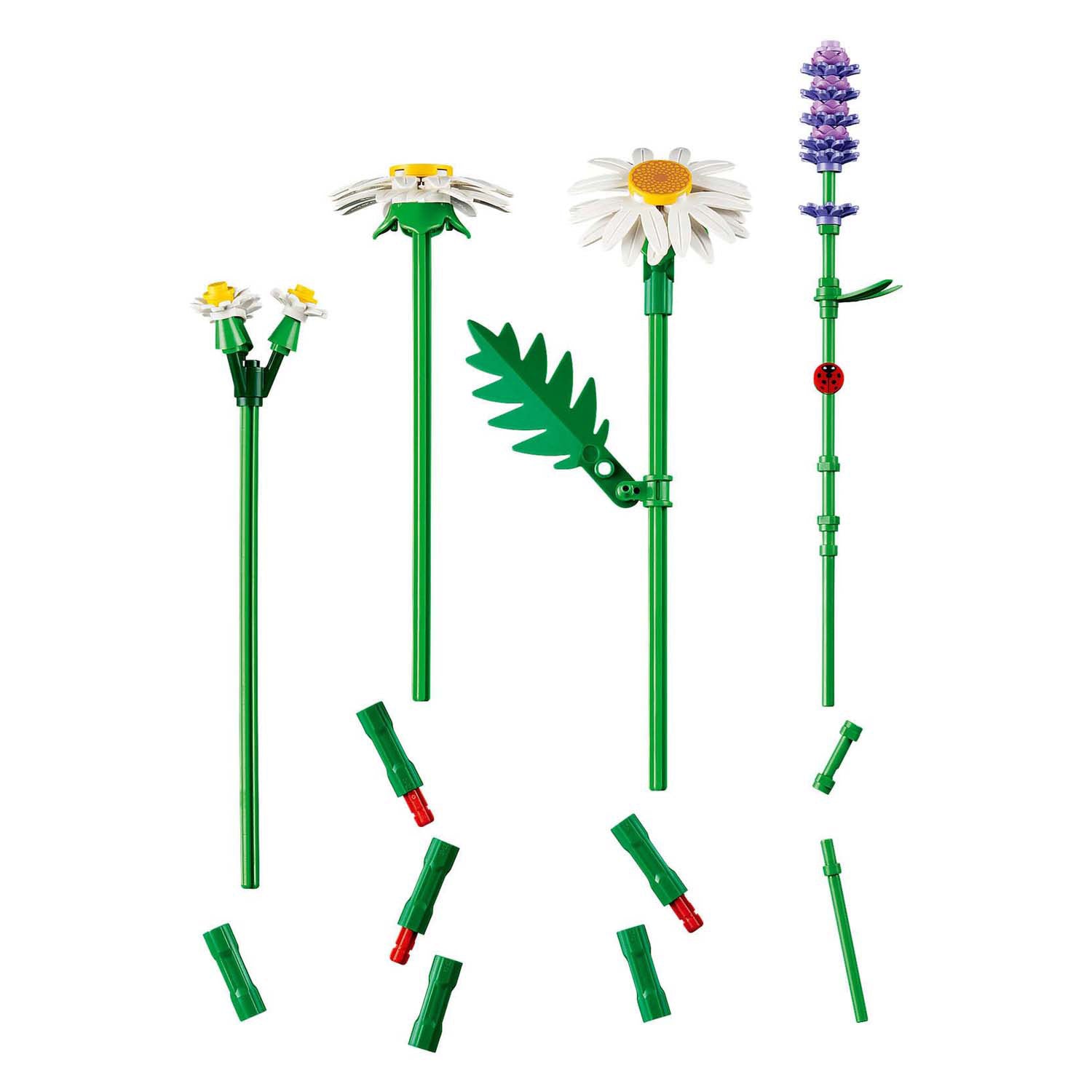 Lego botanicals madeliefjes bloemen - bouwpakket voor kinderen - 11508