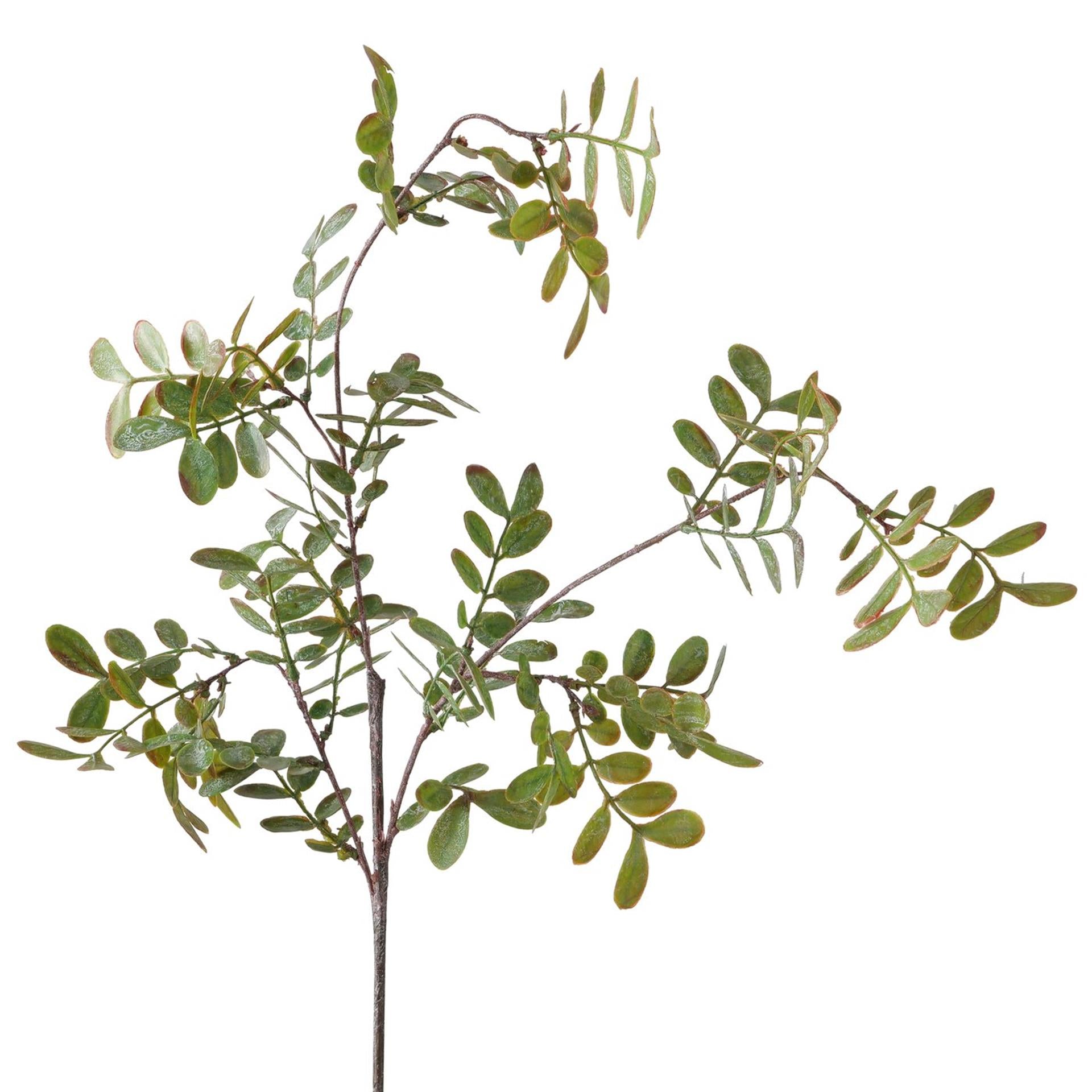 Boltze home decoratietak blad l94cm
