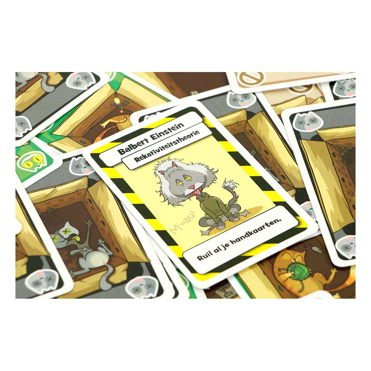 999Spellen Schrödinger's Katten