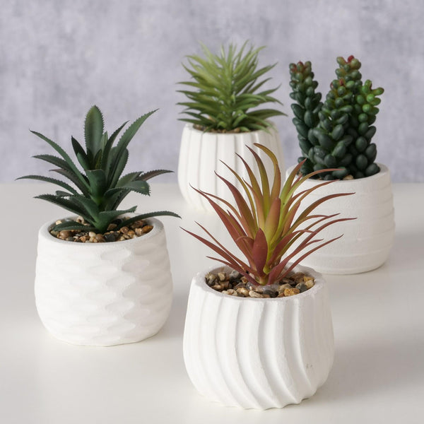 Boltze home kusnstplant yucatan h14cm