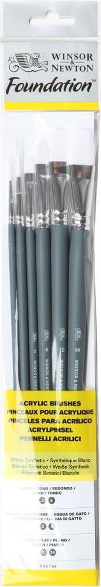 Winsor newton 5295008 foundation acrylpenselen set – lange steel – 6-delig (rond, filbert plat) voor acryl olieverf