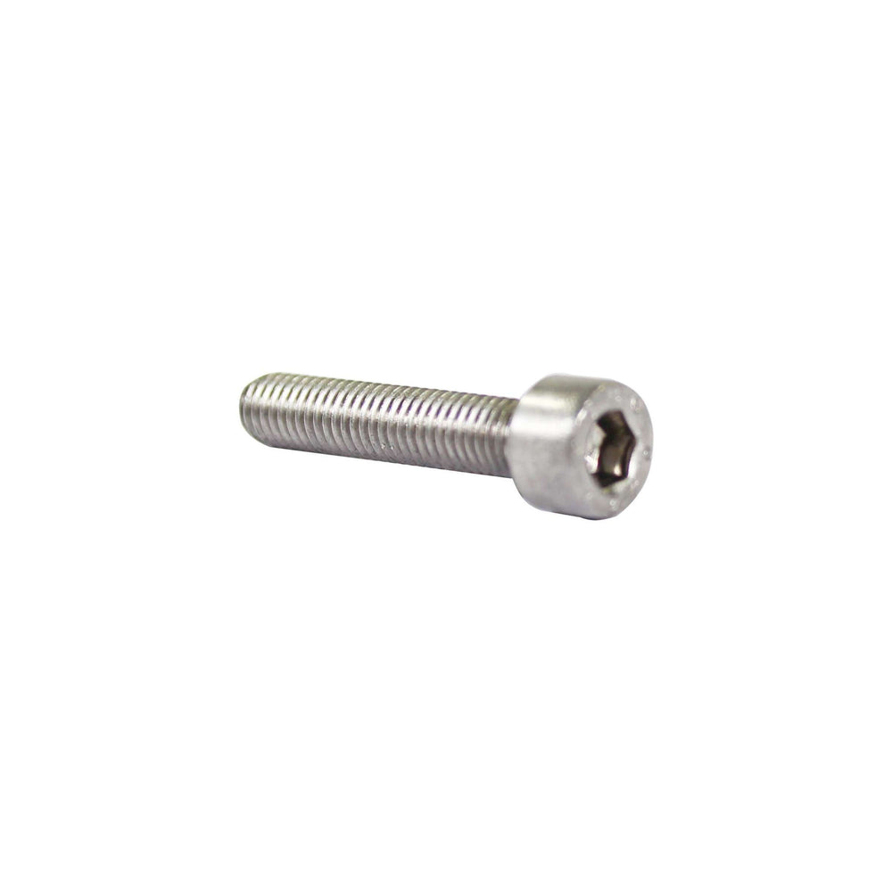 Inbusbout M5x25 RVS per 25