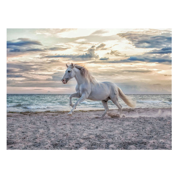 Ravensburger puzzel paard strand - 500 stukjes legpuzzel dieren.