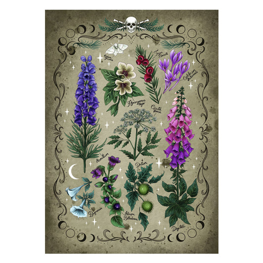 Ravensburger legpuzzel giftpflanzen, 1000st.