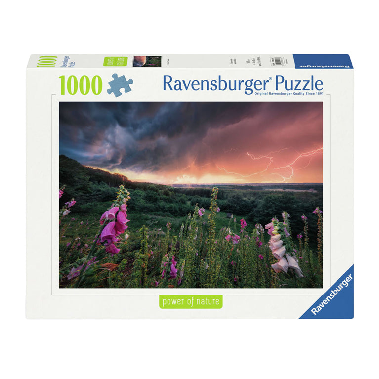 Ravensburger legpuzzel ein sturm zieht auf, 1000st.