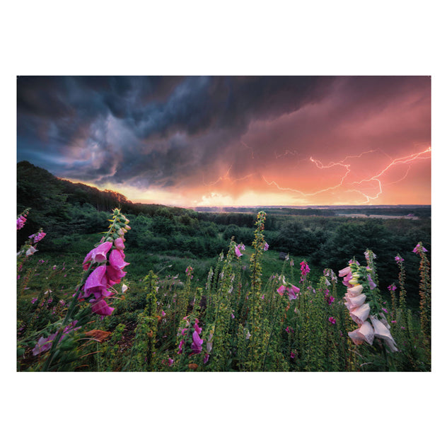 Ravensburger legpuzzel ein sturm zieht auf, 1000st.