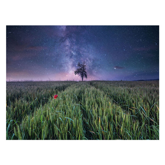 Ravensburger legpuzzel nachthim.uber dem kornfeld, 1500st.