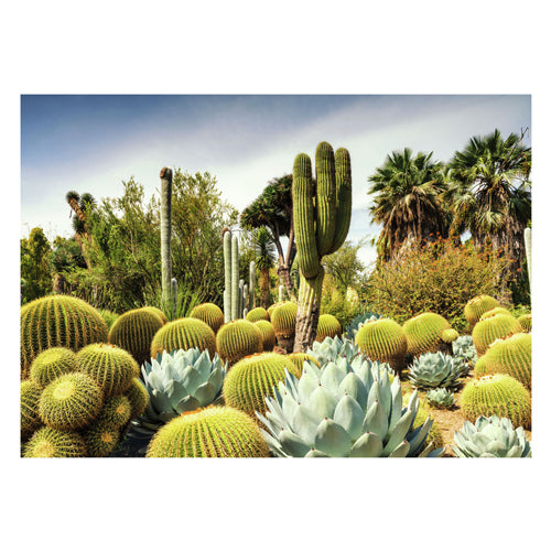 Ravensburger legpuzzel Huntington Desert Garden, 1000st.