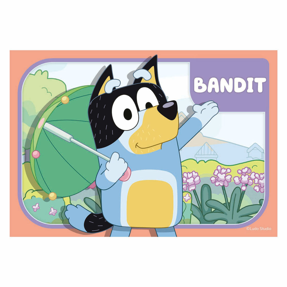 Ravensburger legpuzzel mijn eerste puzzels 4in1 bluey