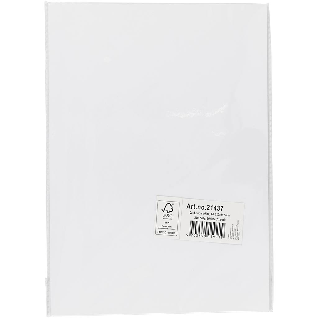 Creativ company karton wit a4 210-220g, 10 bedekt
