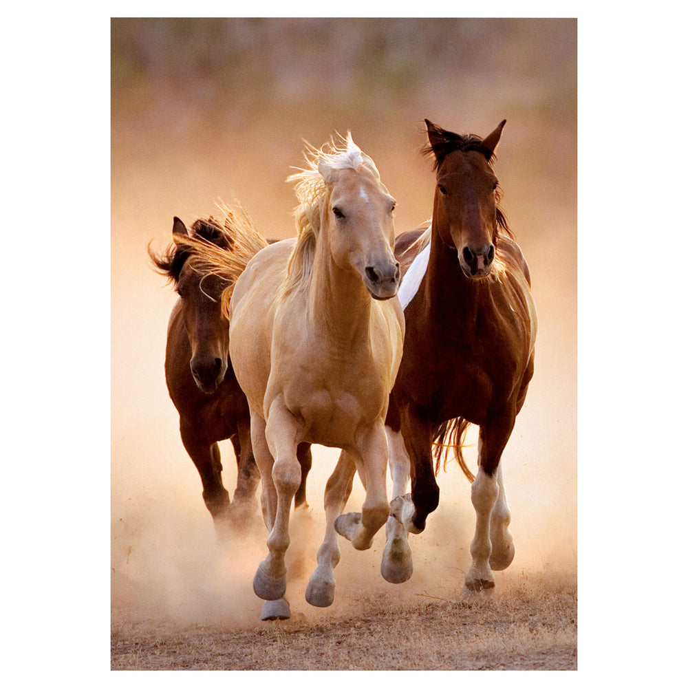 Clementoni puzzelpaarden, 1000st.