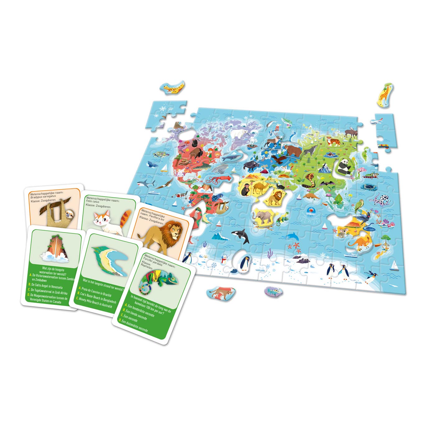 Clementoni Educatie Ontdek de Wereld