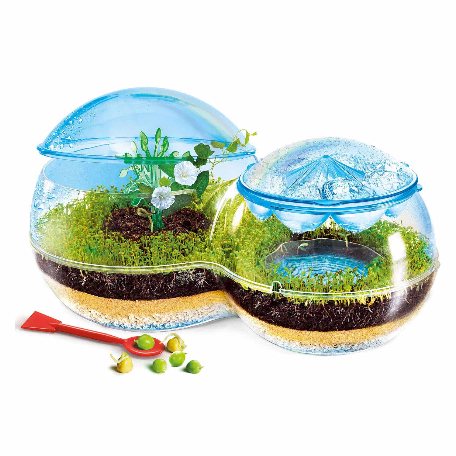 Clementoni Wetenschap Spel Biosfeer