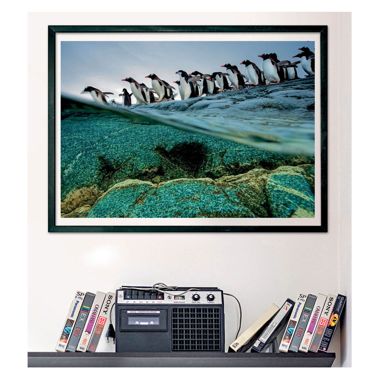 Clementoni Legpuzzel National Geographics - Pinguïn, 1000st.