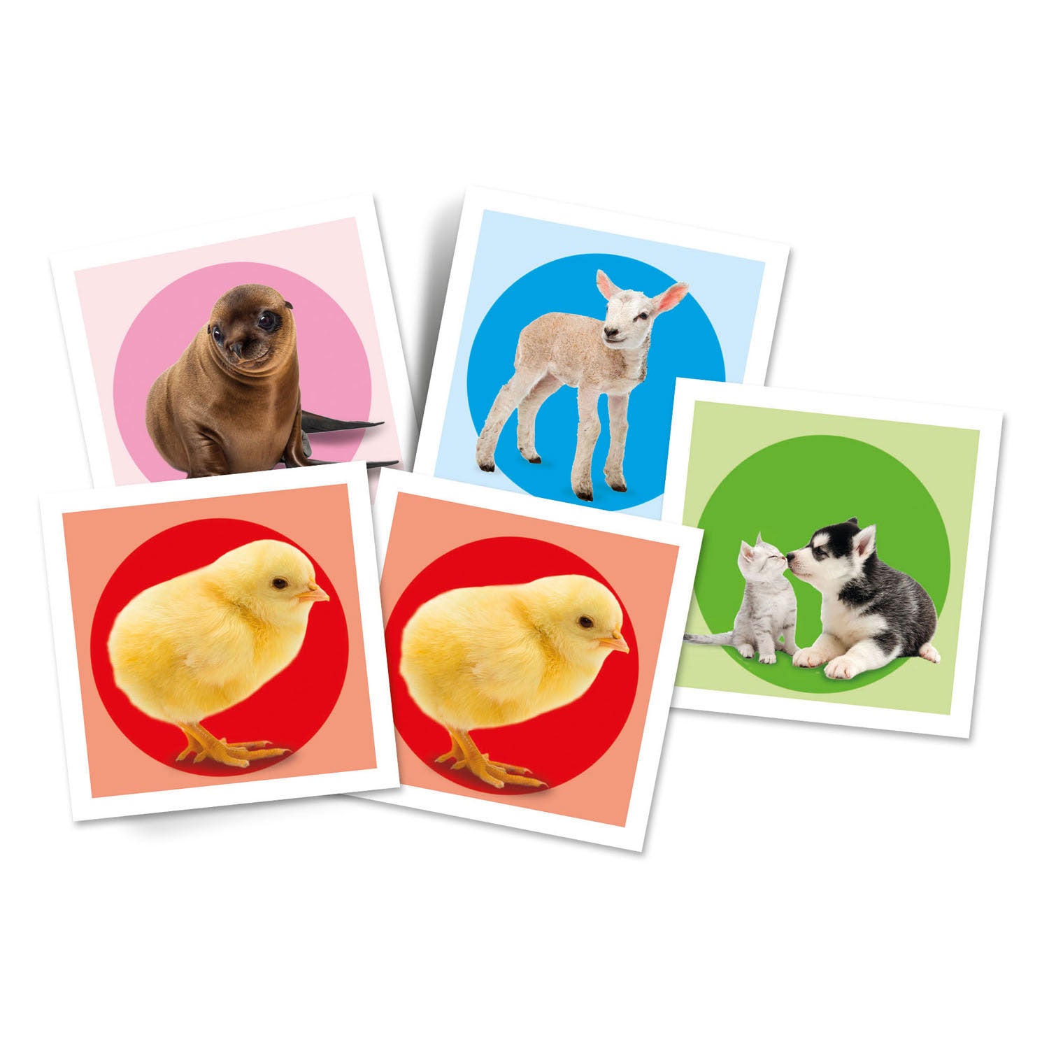 Clementoni memospel puppy's